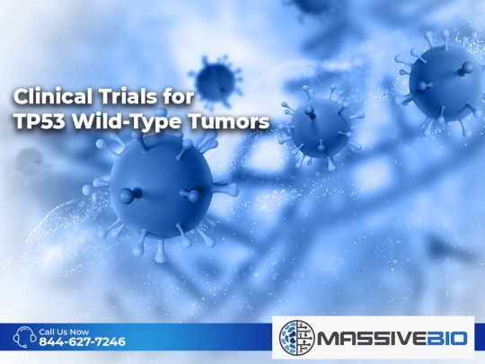 Clinical Trials for TP53 Wild-Type Tumors