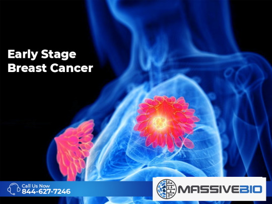 Early Stage Breast Cancer