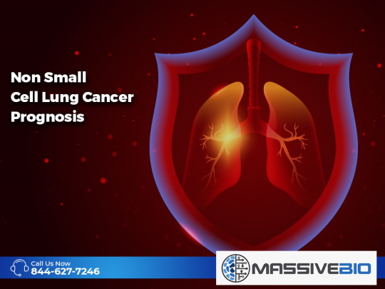 Non Small Cell Lung Cancer Prognosis
