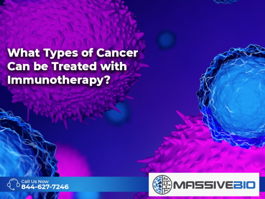 What Types of Cancer Can be Treated with Immunotherapy