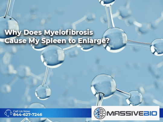 Why Does Myelofibrosis Cause My Spleen to Enlarge?