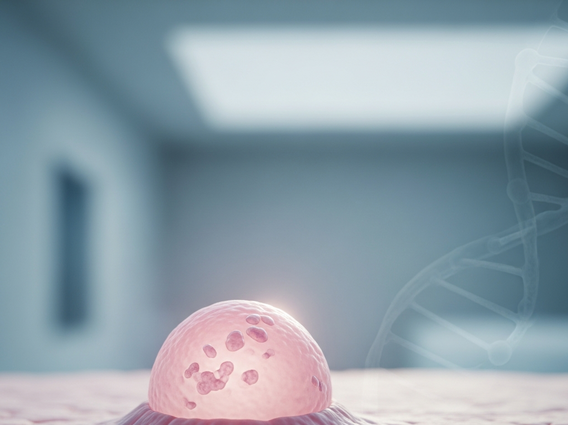 Causes-and-Risk-Factors-for-Skin-Cancer