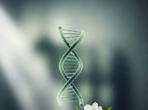 Psychological Support for Expectant Mothers with Cancer