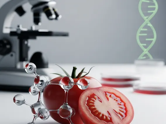 Tomatoes and Lycopene_ Anti-Cancer Properties