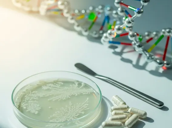 Synbiotics: Combining Probiotics and Prebiotics