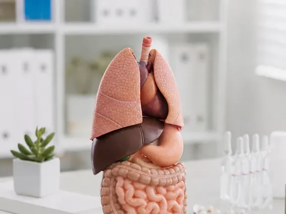Medical Treatments for Organ-Related Inflammation