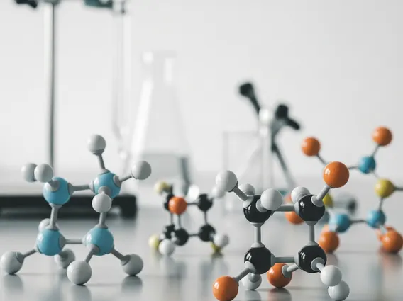5 Hydroxytryptamine