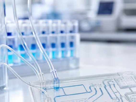 Lab On A Chip