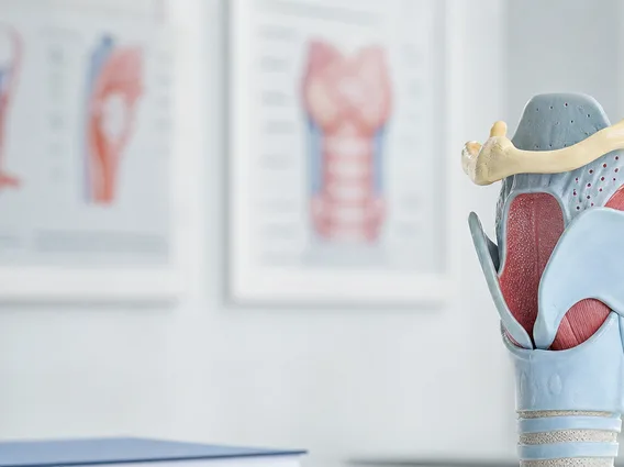 Larynx