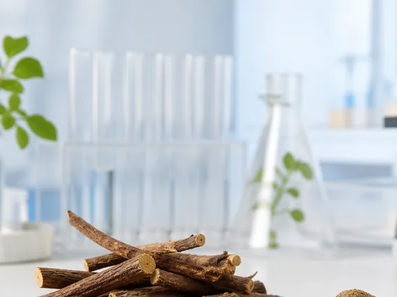 Licorice Root Extract