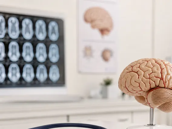 Neurological Exam