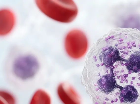 Neutrophil