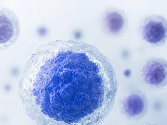 T Cell Depletion