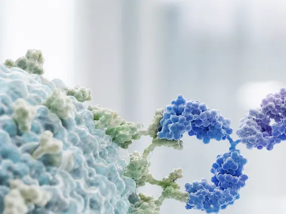 T Cell Receptor